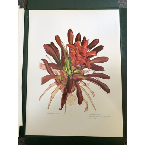 85 - A limited edition portfolio of prints by Margaret Mee, Brazilian Bromeliads, produced in a limited r... 