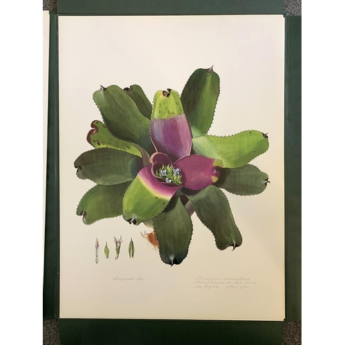 85 - A limited edition portfolio of prints by Margaret Mee, Brazilian Bromeliads, produced in a limited r... 