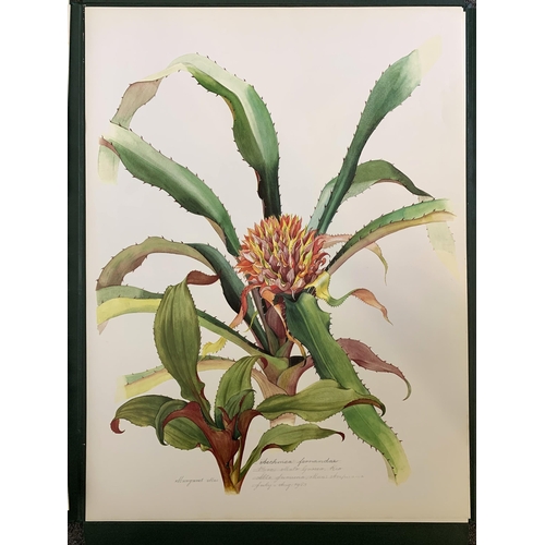 85 - A limited edition portfolio of prints by Margaret Mee, Brazilian Bromeliads, produced in a limited r... 