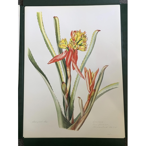 85 - A limited edition portfolio of prints by Margaret Mee, Brazilian Bromeliads, produced in a limited r... 