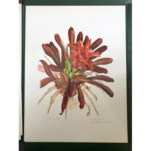 86 - A limited edition portfolio of prints by Margaret Mee, Brazilian Bromeliads, produced in a limited r... 