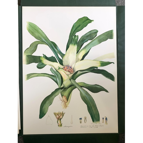 86 - A limited edition portfolio of prints by Margaret Mee, Brazilian Bromeliads, produced in a limited r... 