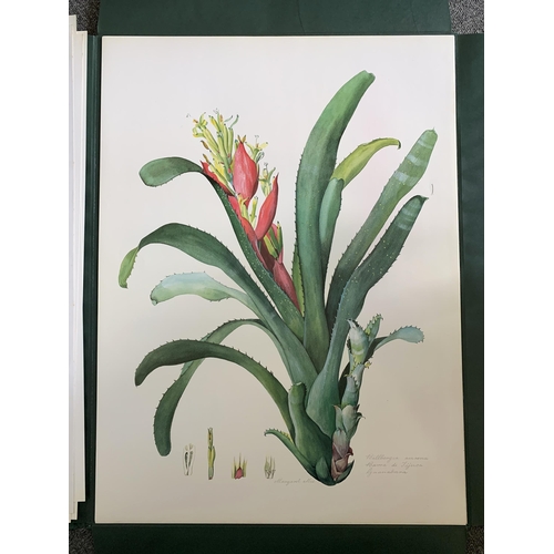 86 - A limited edition portfolio of prints by Margaret Mee, Brazilian Bromeliads, produced in a limited r... 