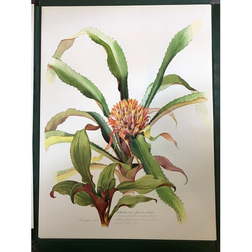 86 - A limited edition portfolio of prints by Margaret Mee, Brazilian Bromeliads, produced in a limited r... 