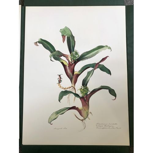 86 - A limited edition portfolio of prints by Margaret Mee, Brazilian Bromeliads, produced in a limited r... 