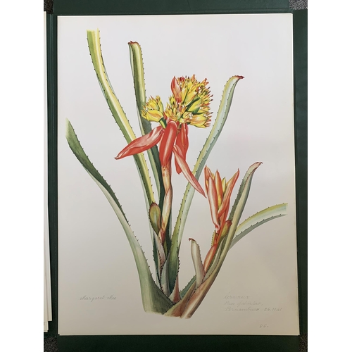 86 - A limited edition portfolio of prints by Margaret Mee, Brazilian Bromeliads, produced in a limited r... 