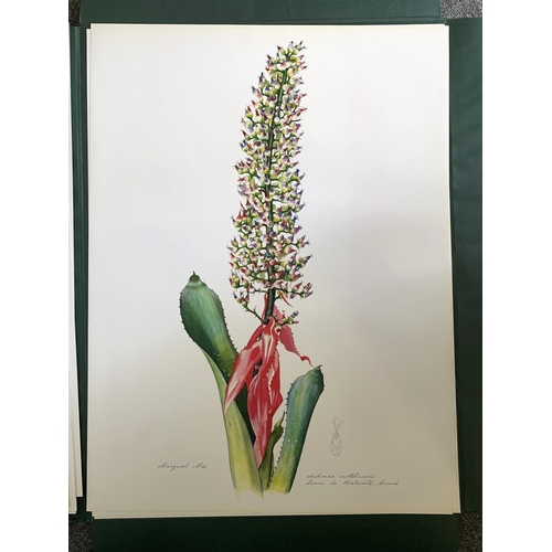 86 - A limited edition portfolio of prints by Margaret Mee, Brazilian Bromeliads, produced in a limited r... 