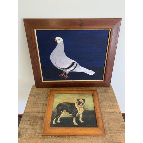 256 - Two framed pictures to include an oil on board of a pigeon, marked RM93 lower right, 19