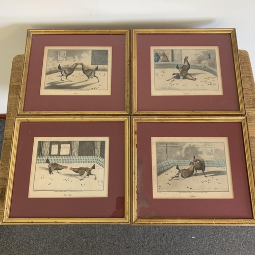 283 - Four framed and glazed cockfighting prints, published March 1825, later framing (one with as found g... 