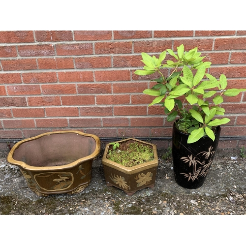 411 - Three Oriental style garden planters, one with plant