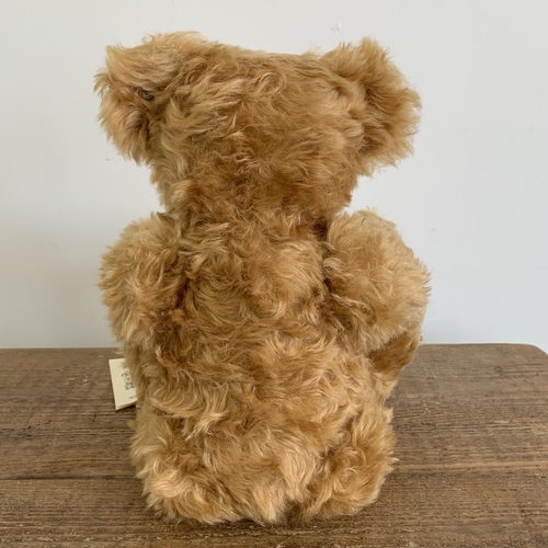 45 - A boxed Steiff Classic growling teddy bear, height approx. 18