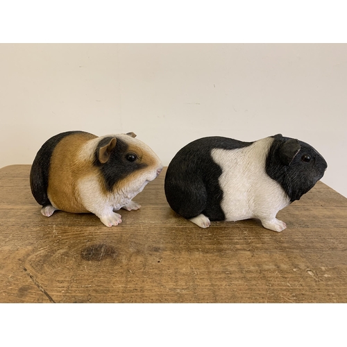 326 - Two boxed Vivid Arts full size guinea pig models