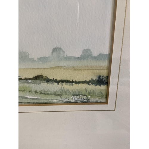 420 - Nigel Colebrook, local artist, a framed and glazed pair of watercolours 'Marsh near Somerleyton' and... 