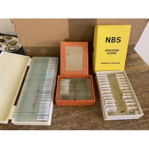 283 - A box of mainly 1901 dated microscope slides, subjects include spider, butterflies, sunflowers plus ... 