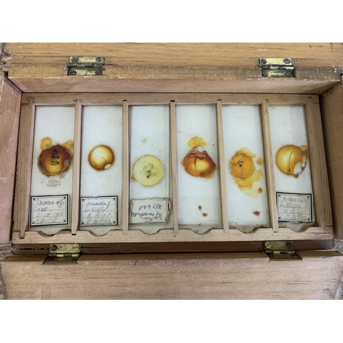 283 - A box of mainly 1901 dated microscope slides, subjects include spider, butterflies, sunflowers plus ... 