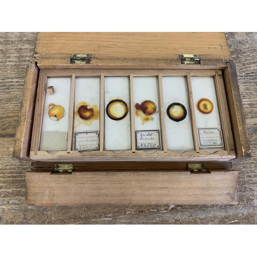 283 - A box of mainly 1901 dated microscope slides, subjects include spider, butterflies, sunflowers plus ... 