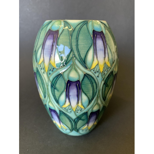 65 - A Moorcroft Trial vase in the 'Correa' pattern by Sian Leeper, marked 'Trial' to base and dated 24.3... 