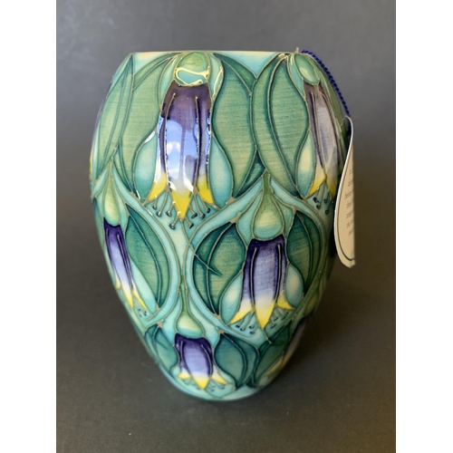 65 - A Moorcroft Trial vase in the 'Correa' pattern by Sian Leeper, marked 'Trial' to base and dated 24.3... 