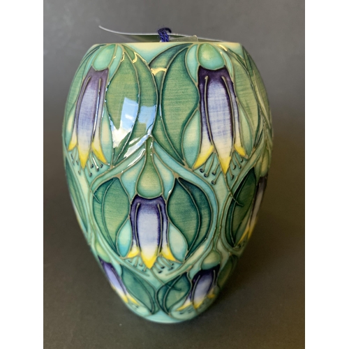 65 - A Moorcroft Trial vase in the 'Correa' pattern by Sian Leeper, marked 'Trial' to base and dated 24.3... 