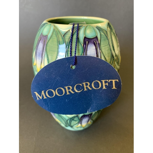 65 - A Moorcroft Trial vase in the 'Correa' pattern by Sian Leeper, marked 'Trial' to base and dated 24.3... 