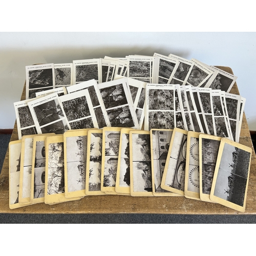 Lot 199       