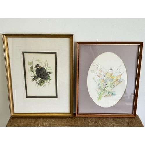 414 - Two framed and glazed watercolour of birds, one signed P J R Chapman, 5 1/2