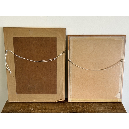 414 - Two framed and glazed watercolour of birds, one signed P J R Chapman, 5 1/2