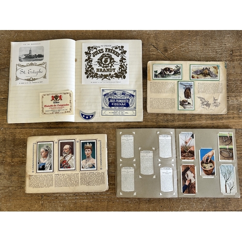 Lot 6         