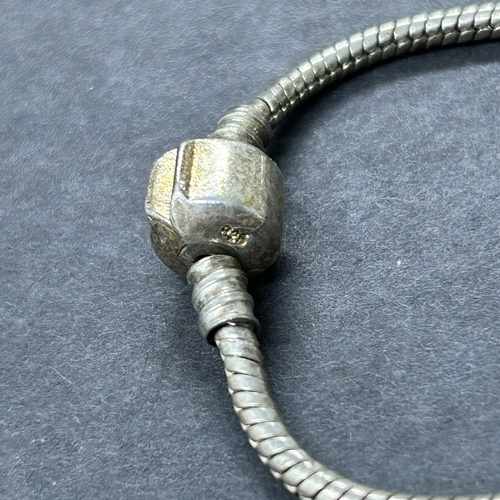 102 - A 925 sterling silver bracelet with a selection of charms, a couple with 925 cores