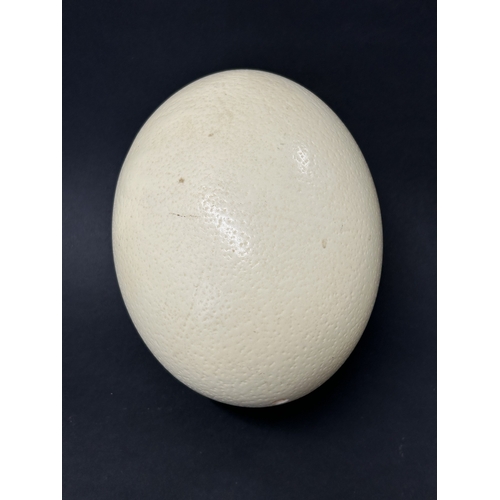 67 - A vintage blown ostrich egg, approx. 6 1/2