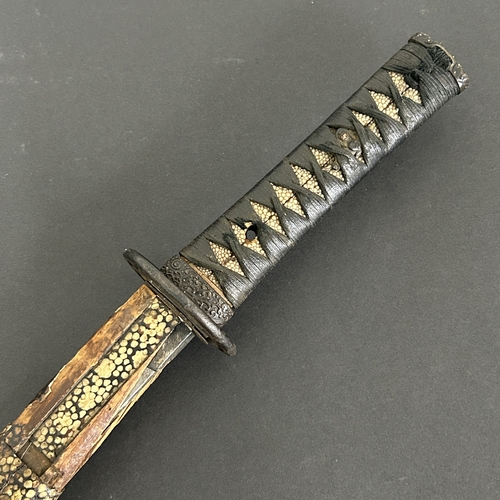 213 - An antique Wakizashi Japanese sword in a wooden scabbard with ray skin, polished blade, signed tang,... 