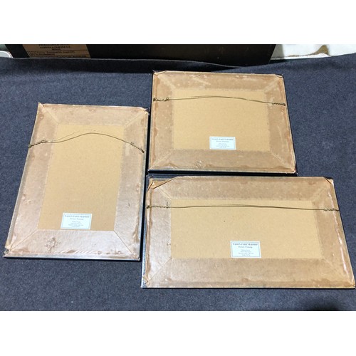 869 - 3 hand painted Indian paintings on cloth F&G.