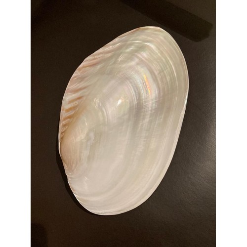 302 - Decorative Mother of Pearl shell