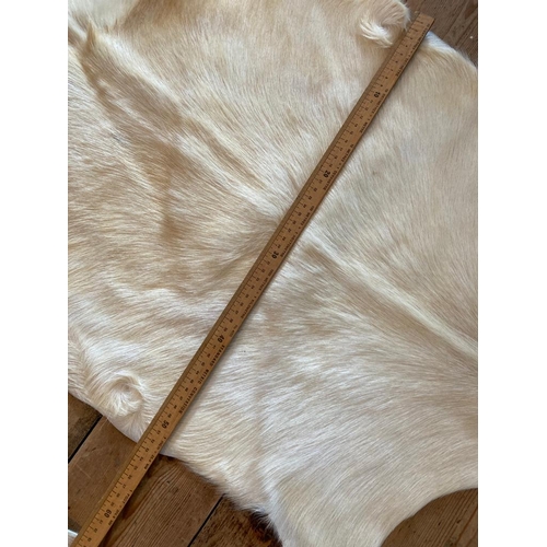 419 - Selection of Real fur Goat hides