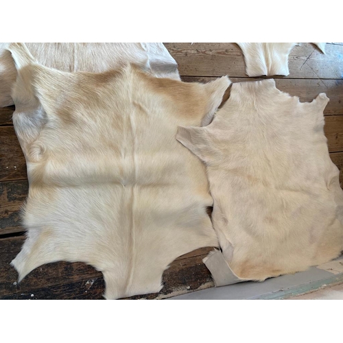 419 - Selection of Real fur Goat hides