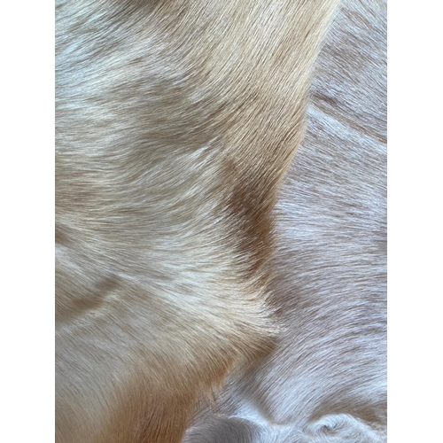 419 - Selection of Real fur Goat hides