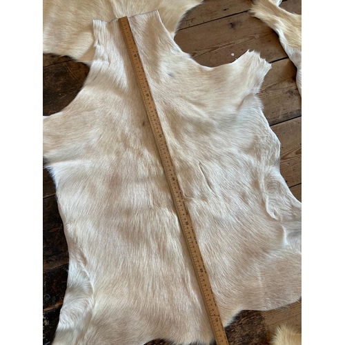 419 - Selection of Real fur Goat hides