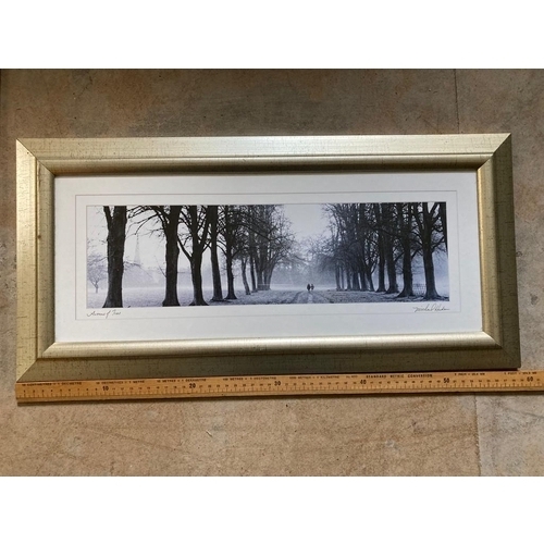 467 - Two modern pictures with gold  frames