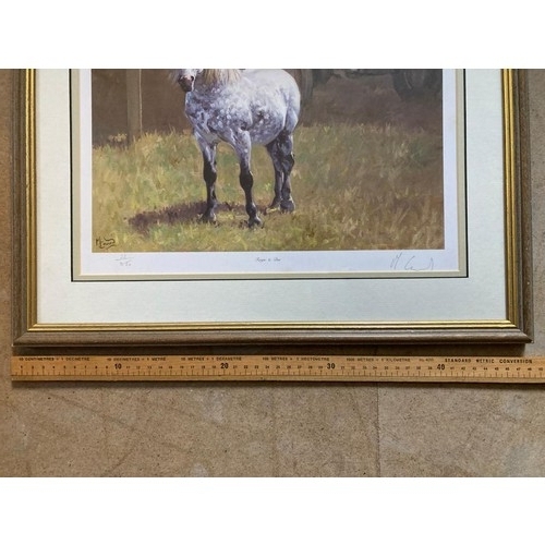 476 - Framed picture of a horse