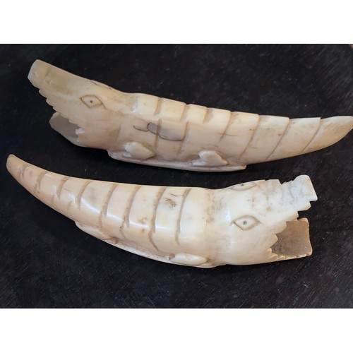 841 - Tribal Art. Pair of Crocodiles carved into teeth