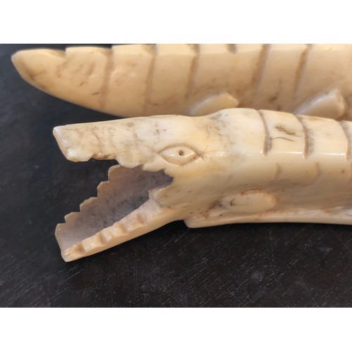 841 - Tribal Art. Pair of Crocodiles carved into teeth