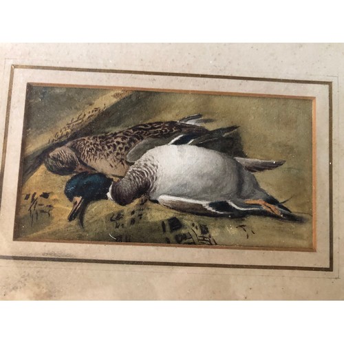 917 - Unsigned oil painting of Mallard ducks by Henry Grant.
Offered for sale by Henrys Great granddaughte... 