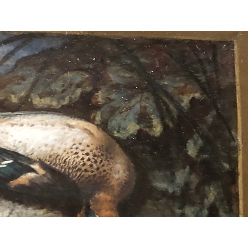 918 - Signed oil painting of a Teal duck by Henry Grant.
Offered for sale by Henrys Great granddaughter.
H... 