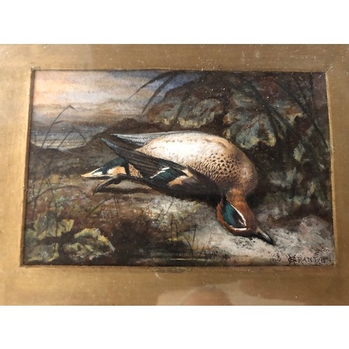 918 - Signed oil painting of a Teal duck by Henry Grant.
Offered for sale by Henrys Great granddaughter.
H... 