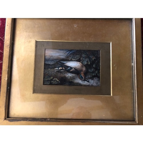 918 - Signed oil painting of a Teal duck by Henry Grant.
Offered for sale by Henrys Great granddaughter.
H... 