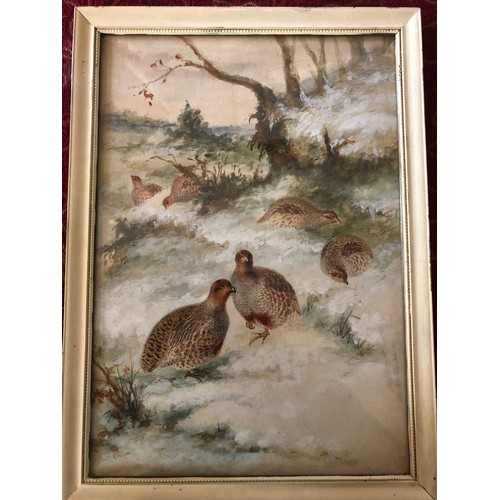 919 - Unsigned painting of Partridges by Henry Grant.
Offered for sale by Henrys Great granddaughter.
Henr... 