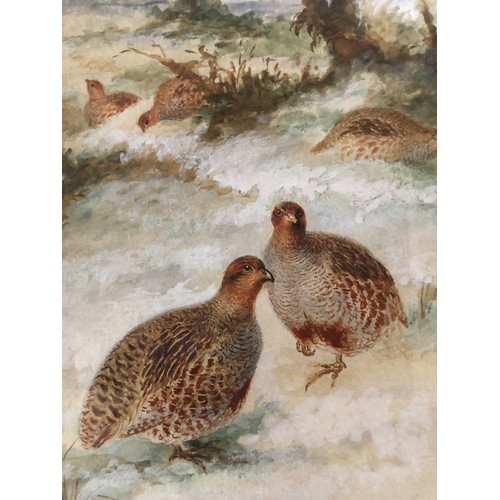 919 - Unsigned painting of Partridges by Henry Grant.
Offered for sale by Henrys Great granddaughter.
Henr... 