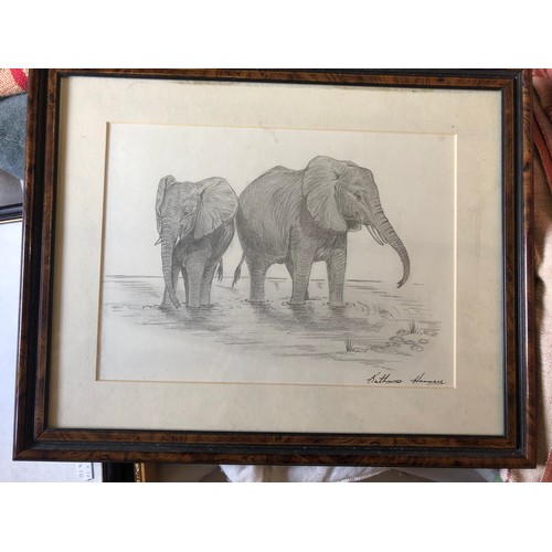 920 - Elephant sketch by Kathryn Harvey a nature inspired painter and live near Lampeter in West Wales