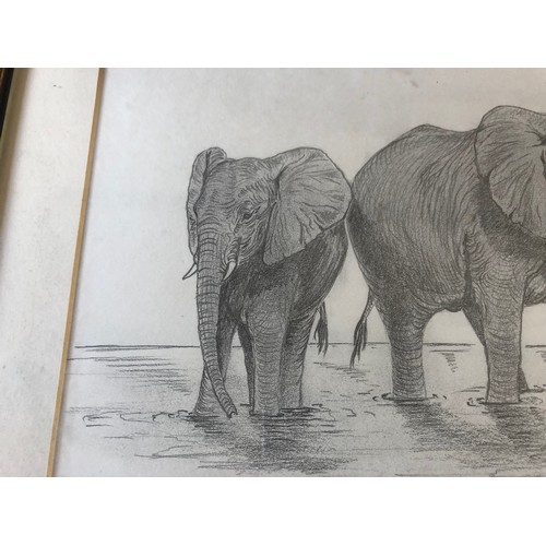 920 - Elephant sketch by Kathryn Harvey a nature inspired painter and live near Lampeter in West Wales