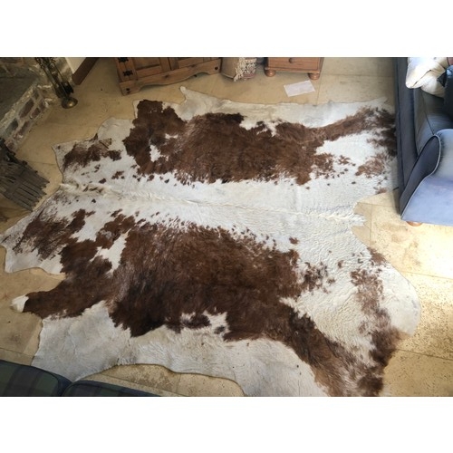 924 - Superb Longhorn Bull hide rug approx 8